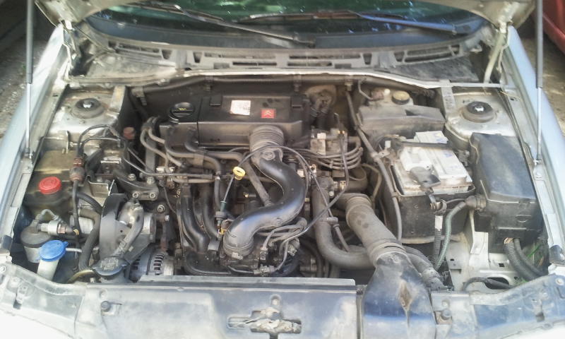 2011-07-10 14.35.22.jpg