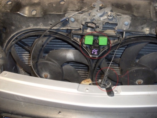 DSCF5367 - kópia - kópia.JPG