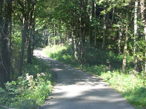 IMG_1205u.jpg
